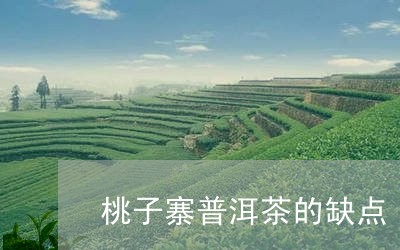 桃子寨普洱茶的缺点/2023120661818