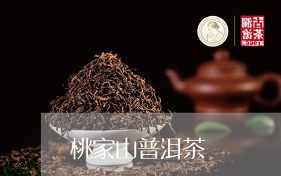 桃家山普洱茶/2023042865052