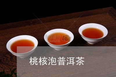 桃核泡普洱茶/2023042760119