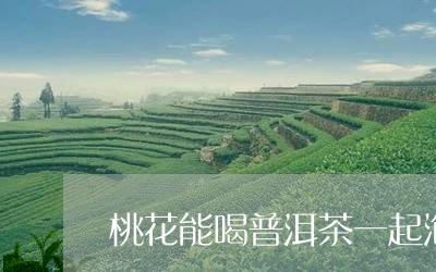 桃花能喝普洱茶一起泡水喝吗/2023052738371