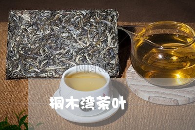 桐木湾茶叶/2023041894189