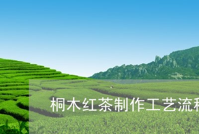 桐木红茶制作工艺流程/2023071440491