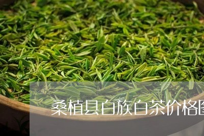 桑植县白族白茶价格图片/2023102660574