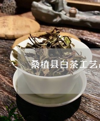 桑植县白茶工艺品/2023062129582