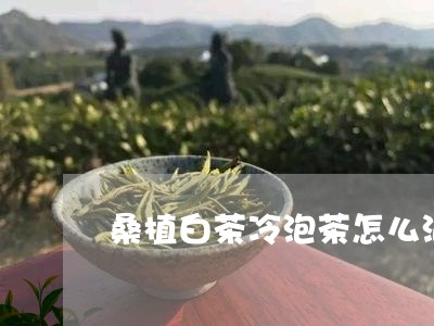 桑植白茶冷泡茶怎么泡/2023111505061