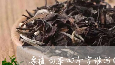 桑植白茶四个字谁写的/2023100299382