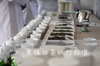 桑植白茶执行标准/2023062266150