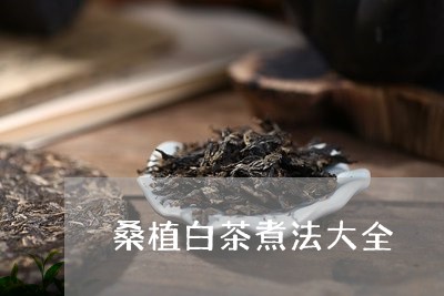 桑植白茶煮法大全/2023062230614