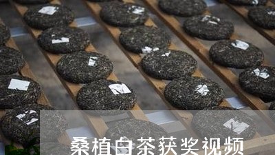 桑植白茶获奖视频/2023062130793