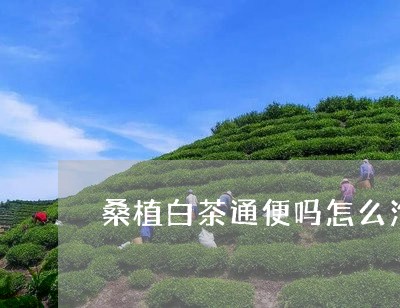 桑植白茶通便吗怎么泡/2023070154147