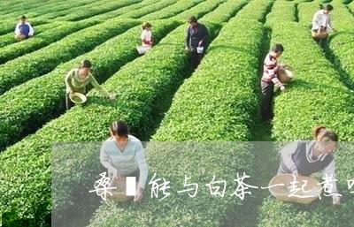 桑椹能与白茶一起煮吗/2023100205058