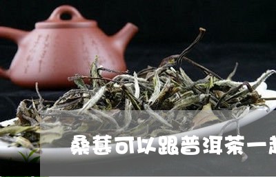 桑葚可以跟普洱茶一起喝吗/2023110236259