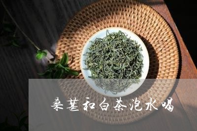 桑葚和白茶泡水喝/2023062260805