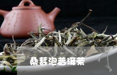 桑葚泡普洱茶/2023042865584