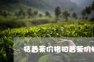 桔普茶价格柑普茶价格/2023071622816