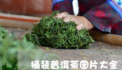 桶装普洱茶图片大全/2023091406179