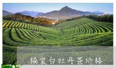 桶装白牡丹茶价格/2023062277169