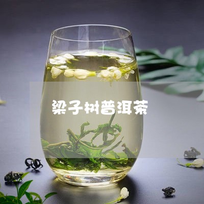 梁子树普洱茶/2023042713043