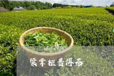 梁掌柜普洱茶/2023042731663