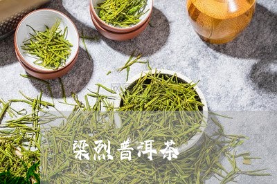 梁烈普洱茶/2023112692826