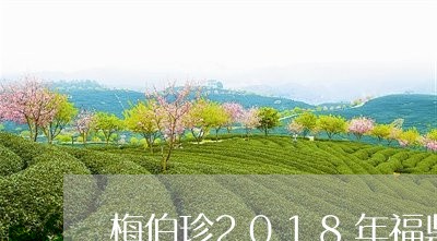 梅伯珍2018年福鼎白茶/2023062905715