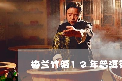 梅兰竹菊12年普洱茶/2023093087959