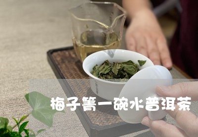 梅子箐一碗水普洱茶/2023110345046