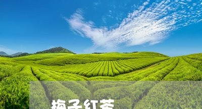 梅子红茶/2023110971715