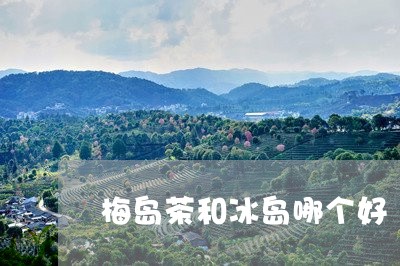 梅岛茶和冰岛哪个好/2023042677392