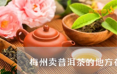 梅州卖普洱茶的地方在哪里/2023121764818