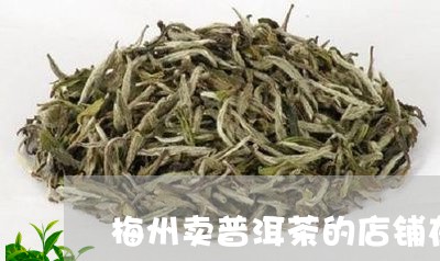 梅州卖普洱茶的店铺在哪里/2023110752616