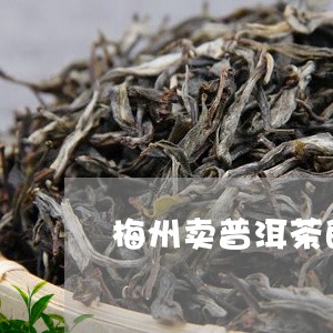梅州卖普洱茶的店铺有哪些/2023121778159