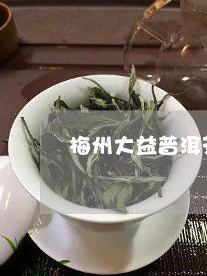 梅州大益普洱茶哪里有/2023061982935