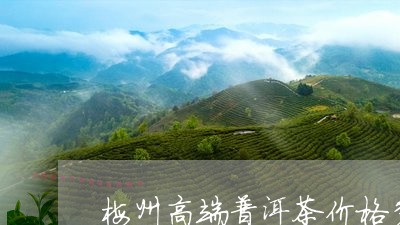 梅州高端普洱茶价格多少一斤/2023083194837