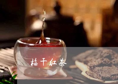 梅干红茶/2023121984047