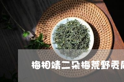 梅相靖二朵梅荒野贡眉/2023100268504