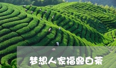 梦想人家福鼎白茶/2023062249372