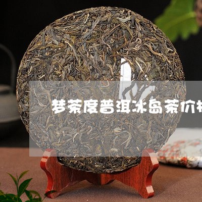 梦茶度普洱冰岛茶价格/2023092515848