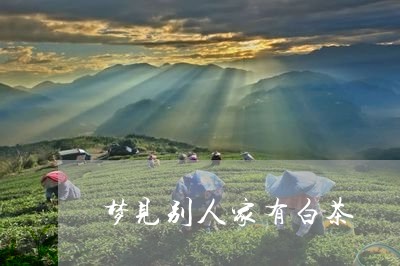 梦见别人家有白茶/2023062286148