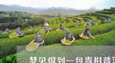 梦见得到一包青柑普洱茶/2023050409480