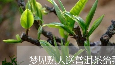 梦见熟人送普洱茶给我/2023080211625