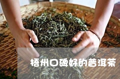 梧州口碑好的普洱茶/2023071195959