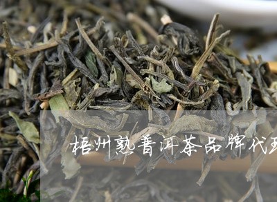 梧州熟普洱茶品牌代理/2023092538259