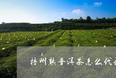 梧州熟普洱茶怎么代理买/2023121721594