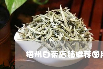 梧州白茶店铺推荐图片/2023100282835