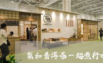 梨和普洱茶一起煮行吗/2023061442615