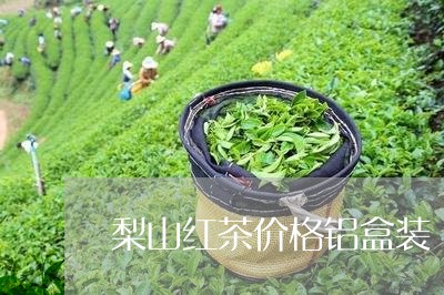 梨山红茶价格铝盒装/2023042348371