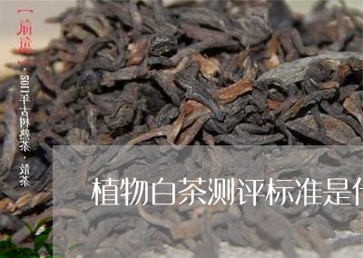 植物白茶测评标准是什么/2023102658592