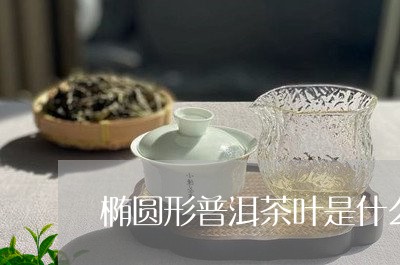 椭圆形普洱茶叶是什么茶/2023110392695