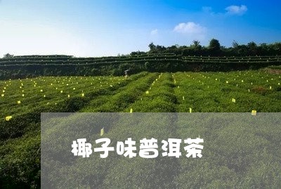 椰子味普洱茶/2023042726457